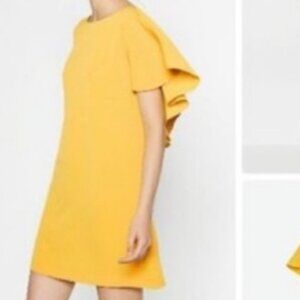 COPY - Zara Basic Yellow Mini Shift Dress Large, NWT